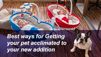 Best ways for getting your pet acclimated to your new addition