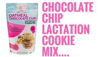 Oatmeal Chocolate Chip Lactation Cookies Are A Tasty Way To Boost Milk Production
