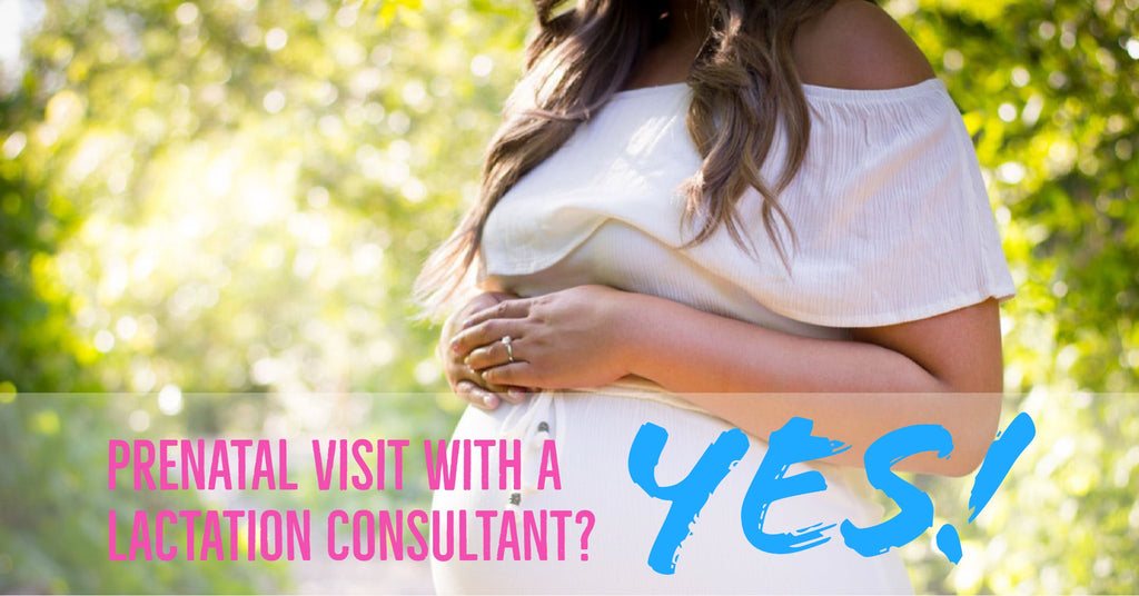 Prenatal Visit with a Lactation Consultant? YES!!