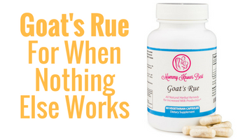 When Nothing Else Works:  Goat’s Rue Herb Provides An Allergy Friendly Lactation Solution
