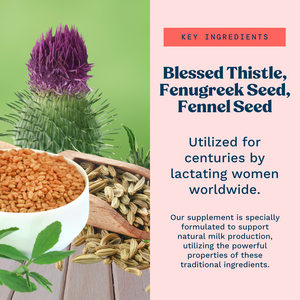 Lactation Supplement - Fenugreek, Blessed Thistle & Milk Thistle - 120 Ct