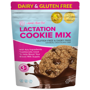 Lactation Cookie Mix - Gluten/Dairy Free - Chocolate Chip - 16oz