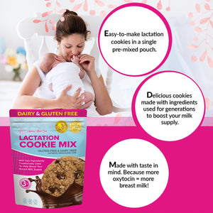 Lactation Cookie Mix - Gluten/Dairy Free - Chocolate Chip - 16oz