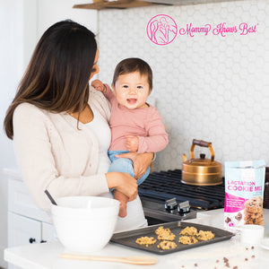 Lactation Cookie Mix - Oatmeal Chocolate Chip - 24oz